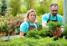 Karriere im Galabau: Tipps zur Suche nach den besten Stellenangeboten