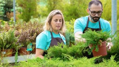 Karriere im Galabau: Tipps zur Suche nach den besten Stellenangeboten